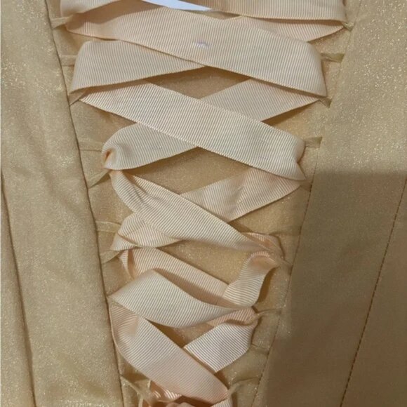 Torrid/Disney Princess Beauty And The Beast Belle Ball Gown - Picture 12 of 14